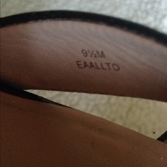 Enzo Angiolini - Picture 8 of 8